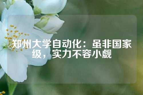 郑州大学自动化：虽非国家级，实力不容小觑