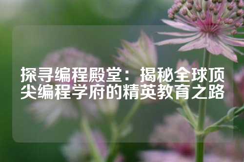 探寻编程殿堂：揭秘全球顶尖编程学府的精英教育之路
