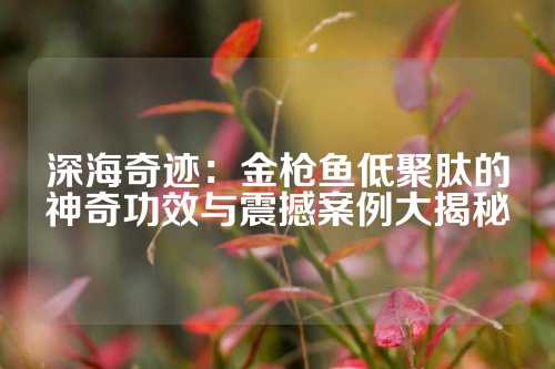 深海奇迹：金枪鱼低聚肽的神奇功效与震撼案例大揭秘