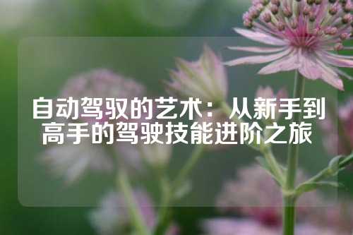 自动驾驭的艺术：从新手到高手的驾驶技能进阶之旅