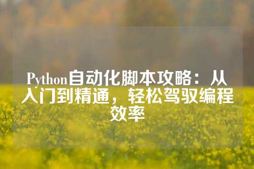 Python自动化脚本攻略：从入门到精通，轻松驾驭编程效率