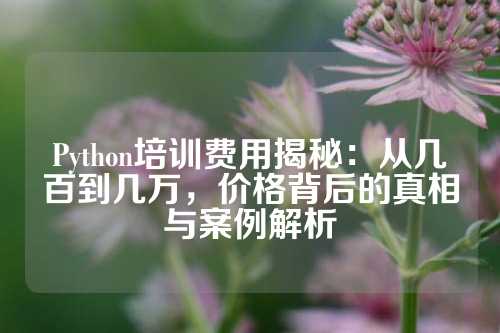 Python培训费用揭秘：从几百到几万，价格背后的真相与案例解析