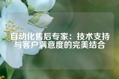 自动化售后专家：技术支持与客户满意度的完美结合