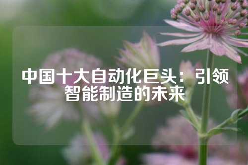 中国十大自动化巨头：引领智能制造的未来