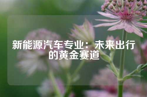 新能源汽车专业：未来出行的黄金赛道