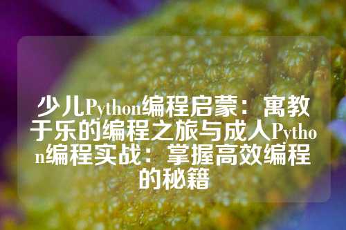 少儿Python编程启蒙：寓教于乐的编程之旅与成人Python编程实战：掌握高效编程的秘籍