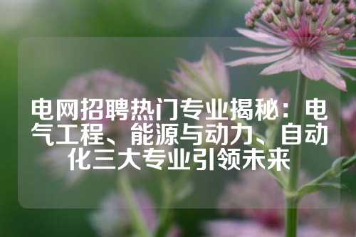 电网招聘热门专业揭秘：电气工程、能源与动力、自动化三大专业引领未来
