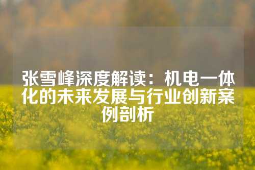 张雪峰深度解读：机电一体化的未来发展与行业创新案例剖析