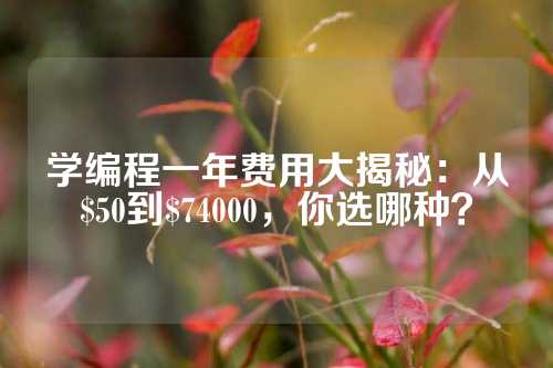 学编程一年费用大揭秘：从$50到$74000，你选哪种？